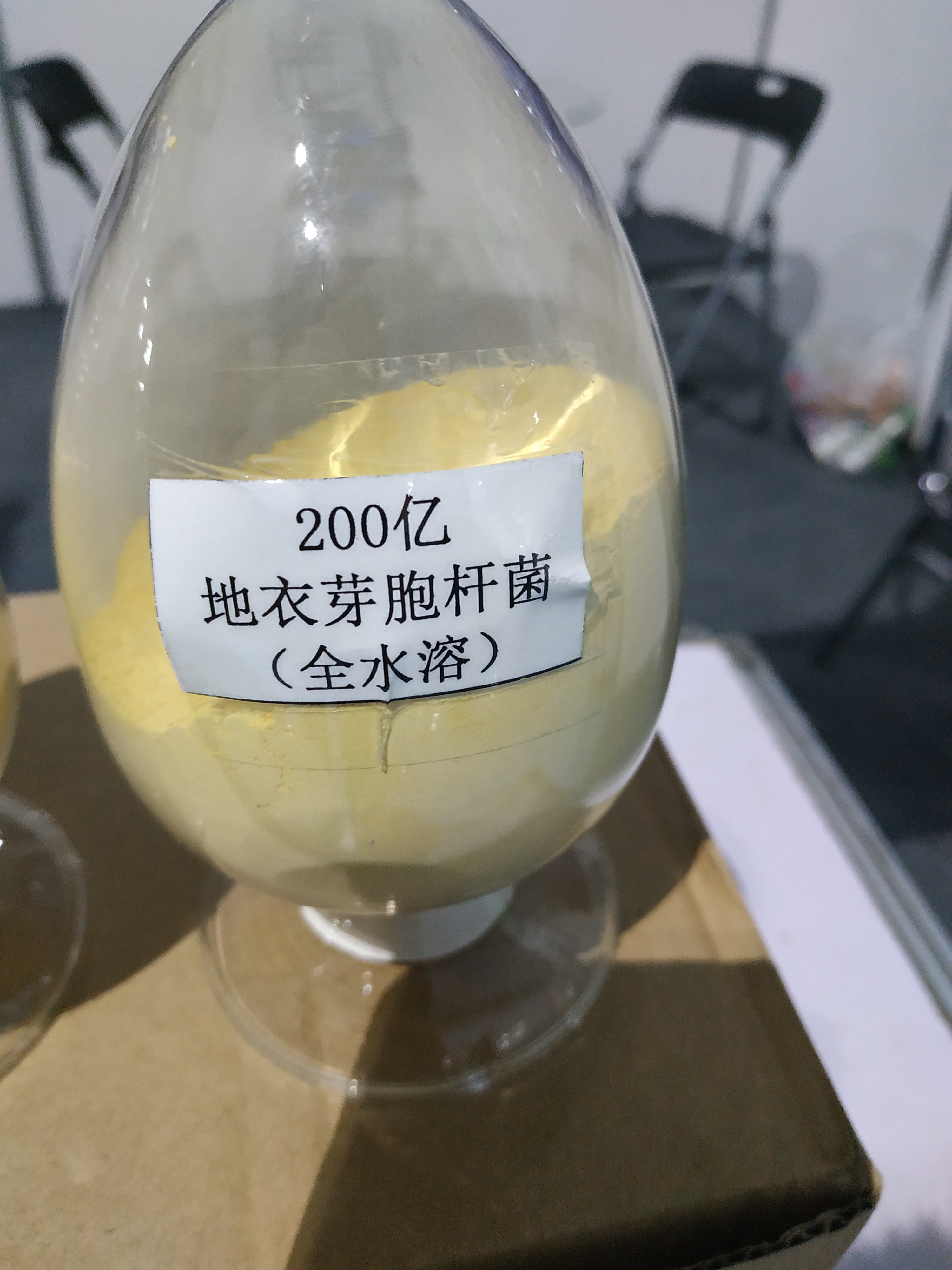 枯草芽孢桿菌圖片/枯草芽孢桿菌樣板圖 (4)