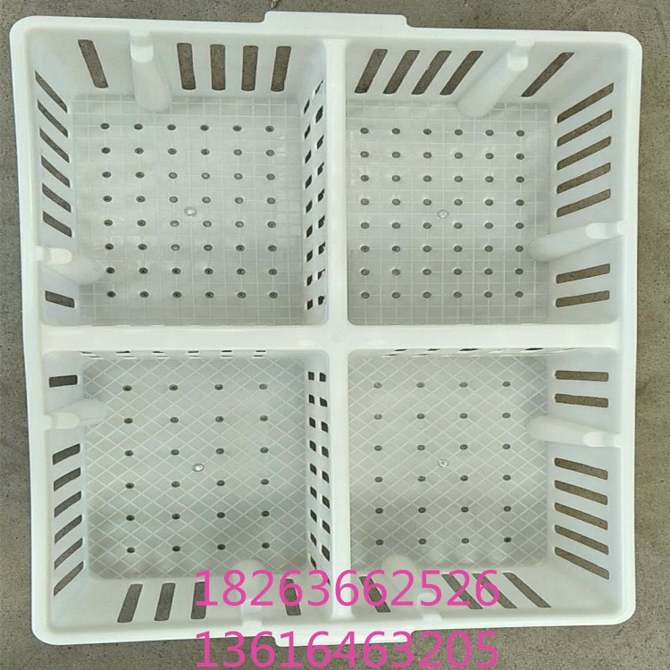 雞苗專用運輸籠圖片/雞苗專用運輸籠樣板圖 (3)