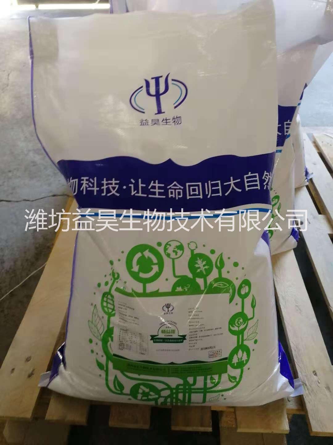 乳酸菌圖片/乳酸菌樣板圖 (1)