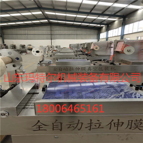 拉伸膜真空包裝機(jī)圖片/拉伸膜真空包裝機(jī)樣板圖 (2)