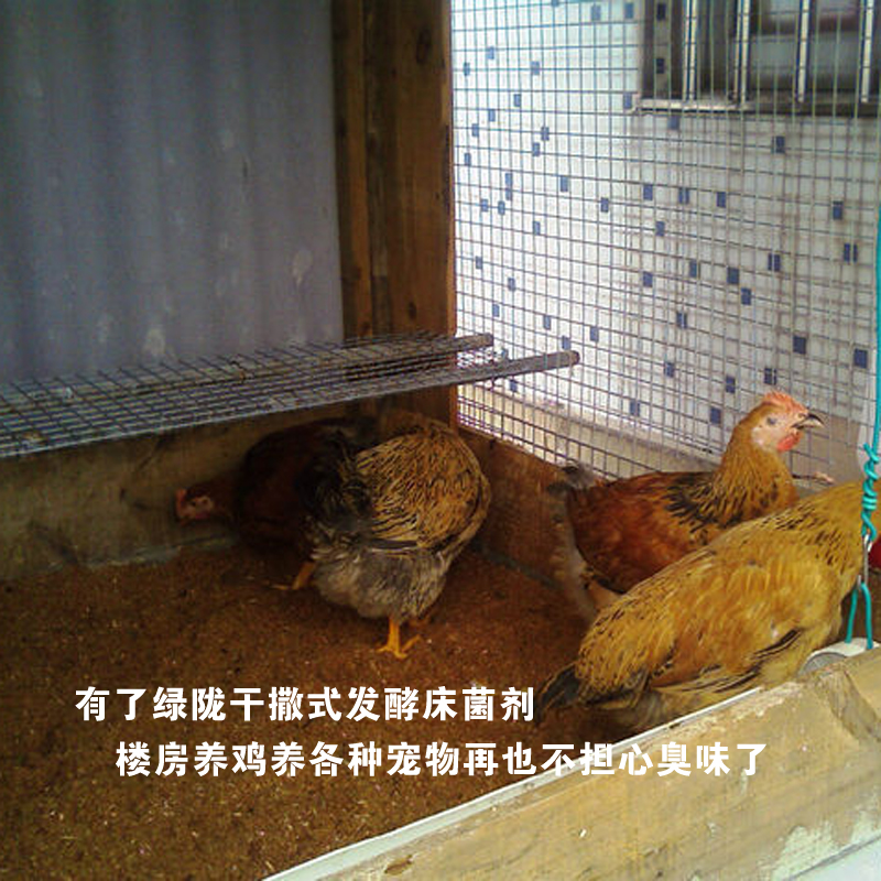 發(fā)酵床菌劑 環(huán)保養(yǎng)殖無糞尿排放圖片/發(fā)酵床菌劑 環(huán)保養(yǎng)殖無糞尿排放樣板圖 (4)