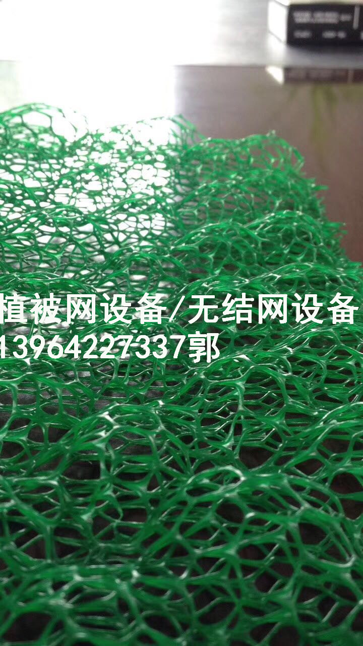 PE無結(jié)網(wǎng)設備 植被網(wǎng)設備 無結(jié)網(wǎng)設備廠家