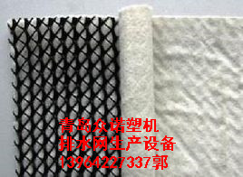塑料排水網(wǎng)圖片/塑料排水網(wǎng)樣板圖 (3)