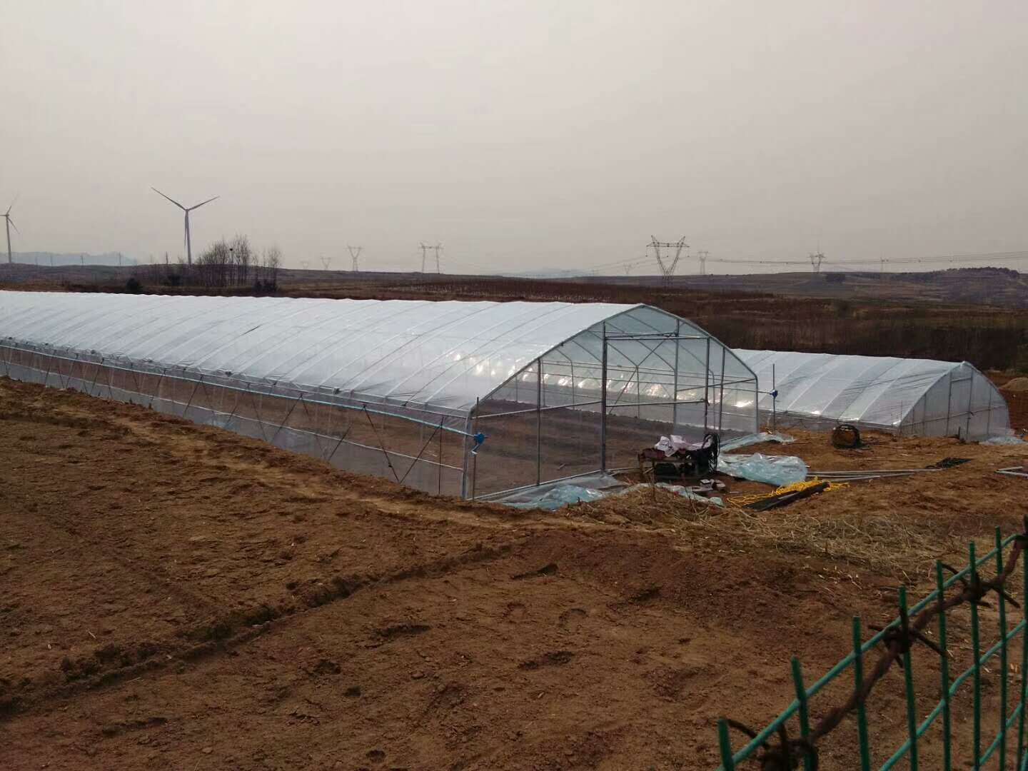 單棟溫室大棚 單棟溫室大棚價格 單棟溫室大棚廠家 單棟溫室大棚骨架