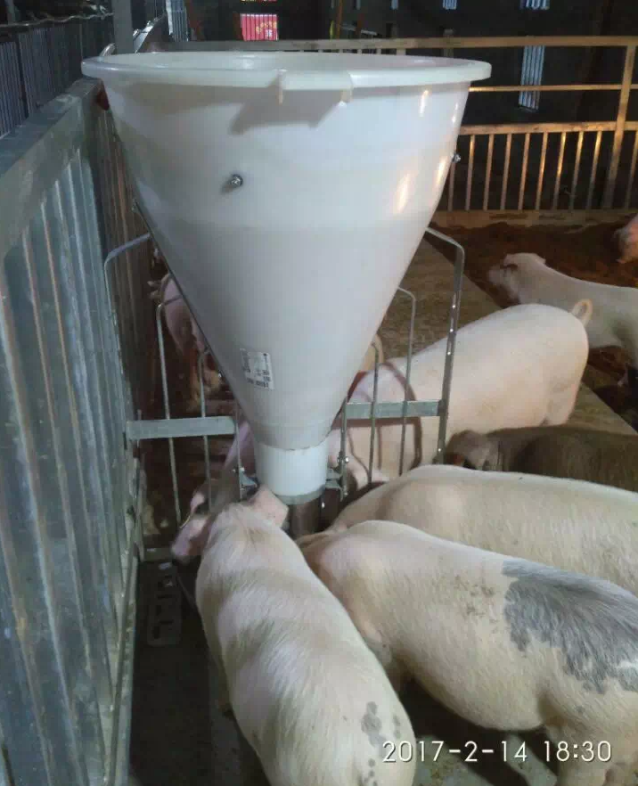 豬食槽圖片/豬食槽樣板圖 (4)