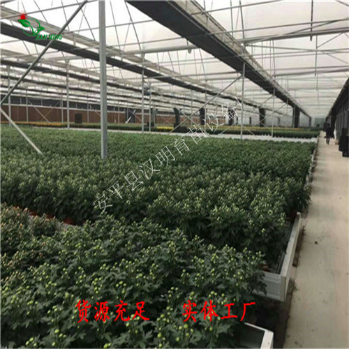 移動(dòng)苗床圖片/移動(dòng)苗床樣板圖 (1)