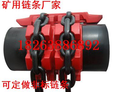 直徑18mm鏈條圖片