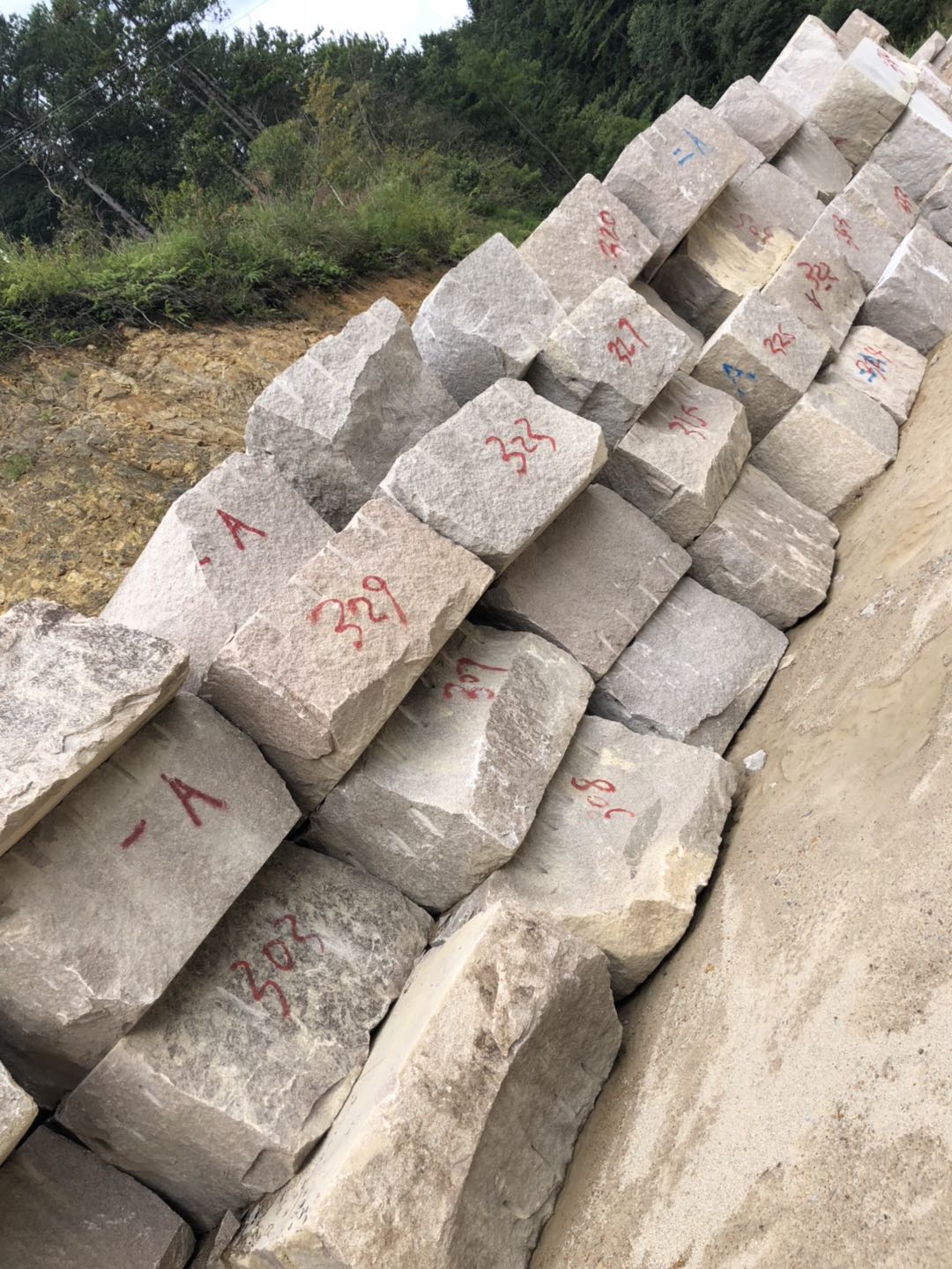 皇室香檳圖片/皇室香檳樣板圖 (1)