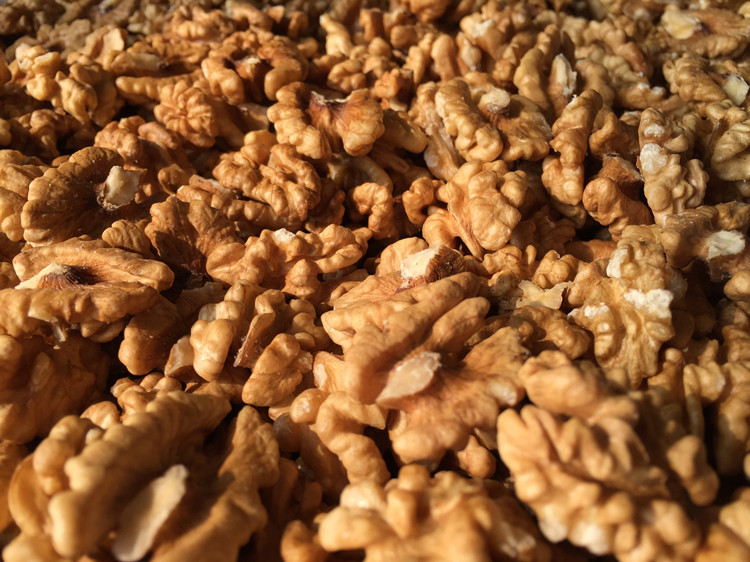 核桃仁圖片/核桃仁樣板圖 (2)