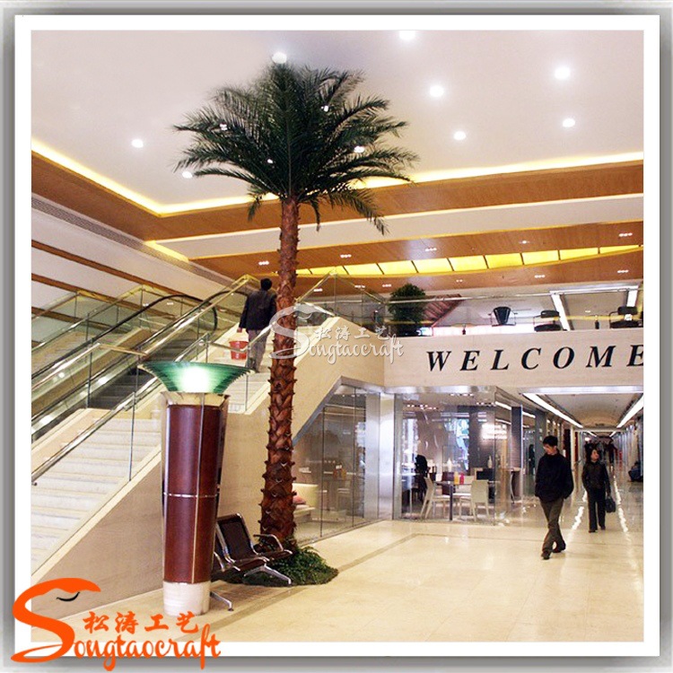 假棕櫚樹圖片/假棕櫚樹樣板圖 (2)