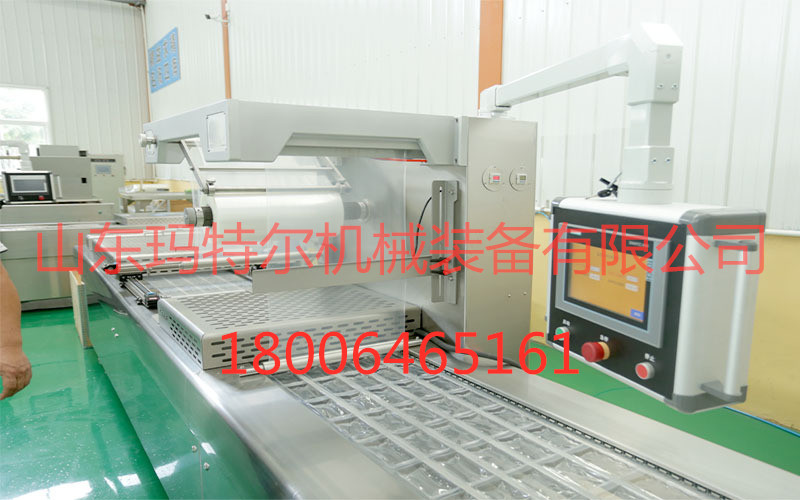 拉伸膜真空包裝機(jī)圖片/拉伸膜真空包裝機(jī)樣板圖 (3)