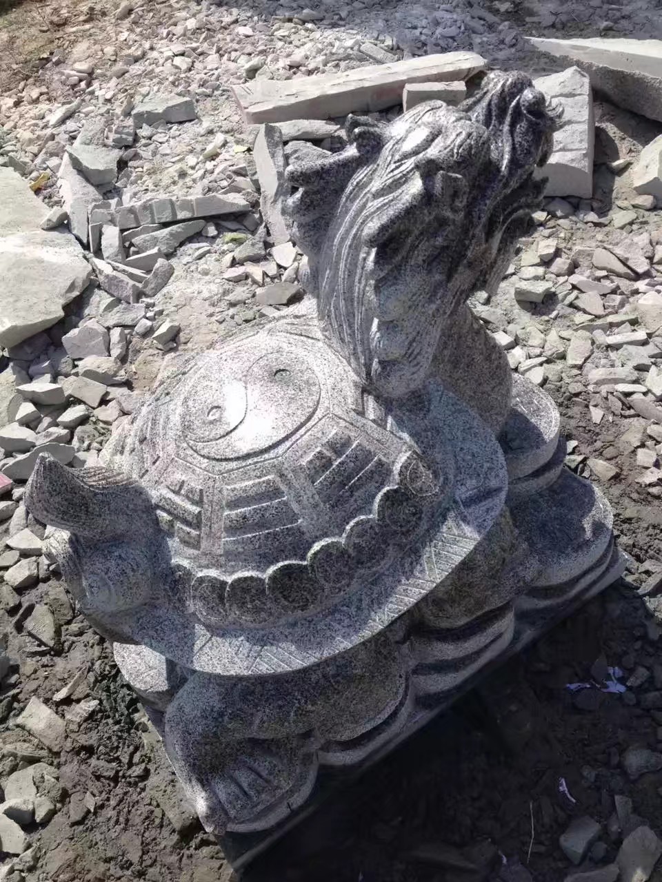 龍龜?shù)窨虉D片/龍龜?shù)窨虡影鍒D (3)