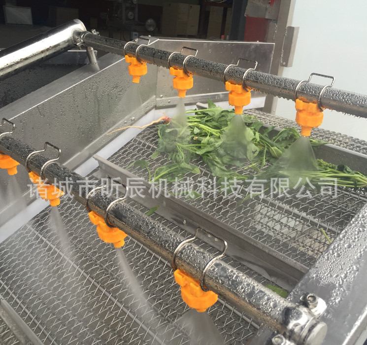 廠家直銷多功能蔬菜清洗機 氣泡清洗機 菌類清洗機 不銹鋼清洗機 蔬菜清洗機氣泡清洗機不銹鋼清洗機