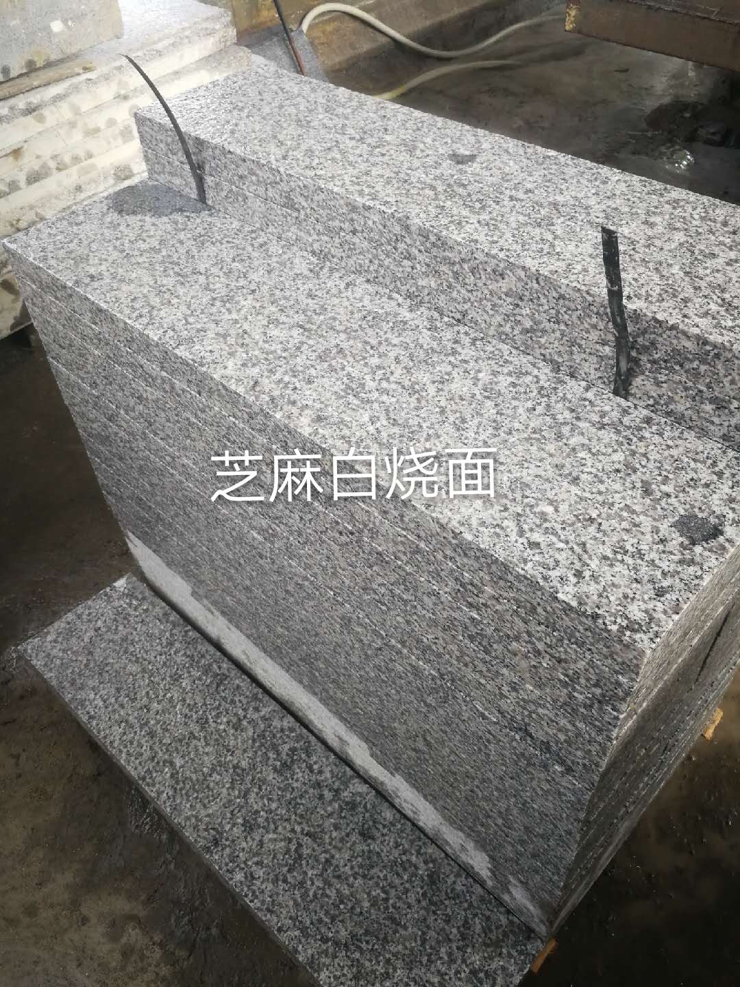 芝麻白火燒面圖片/芝麻白火燒面樣板圖 (2)