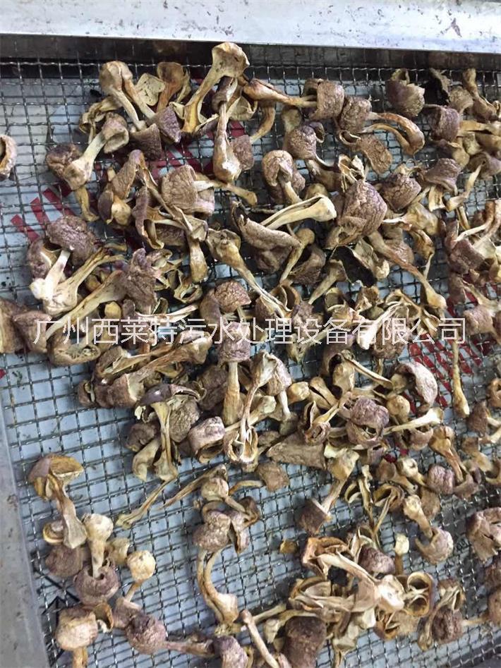 香菇烘干機 香菇除濕機