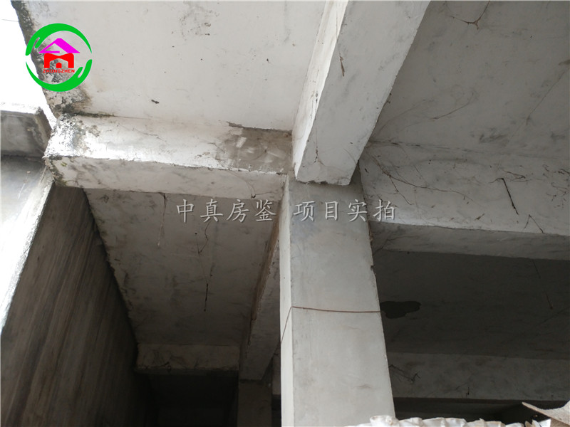 房屋結(jié)構(gòu)圖片/房屋結(jié)構(gòu)樣板圖 (2)