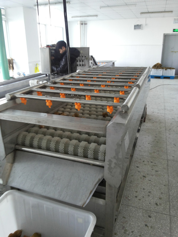 毛輥清洗機圖片