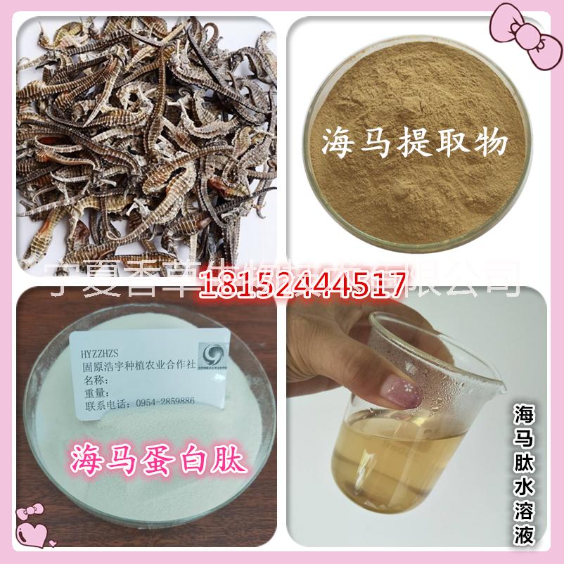 海龍?zhí)崛∥?海龍粉廠家批發(fā) 海龍凍干粉價格 海龍多肽 小分子肽粉 海馬提取物 海馬凍干粉 海馬肽粉 生物活性肽價格