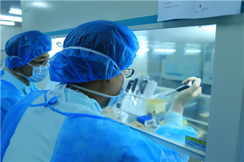 間充質干細胞圖片/間充質干細胞樣板圖 (3)