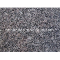 金鉆花崗巖圖片/金鉆花崗巖樣板圖 (4)