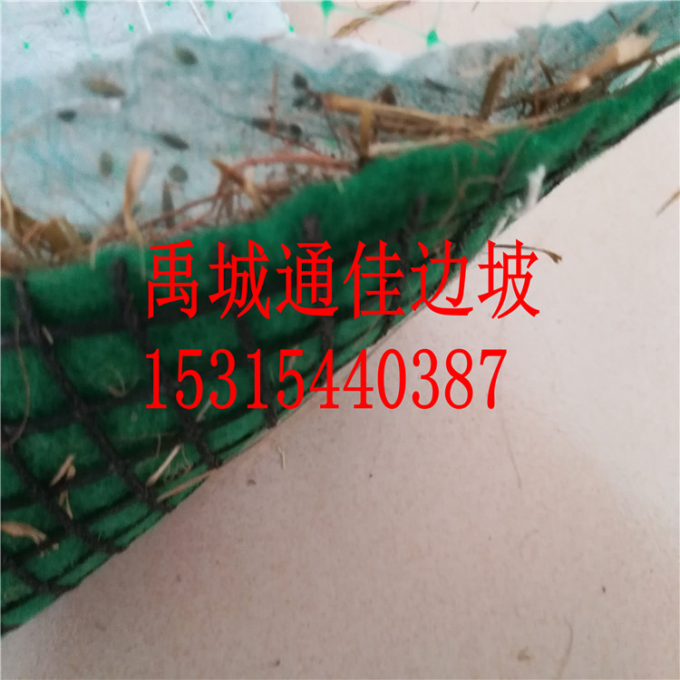 抗沖植草毯圖片/抗沖植草毯樣板圖 (2)