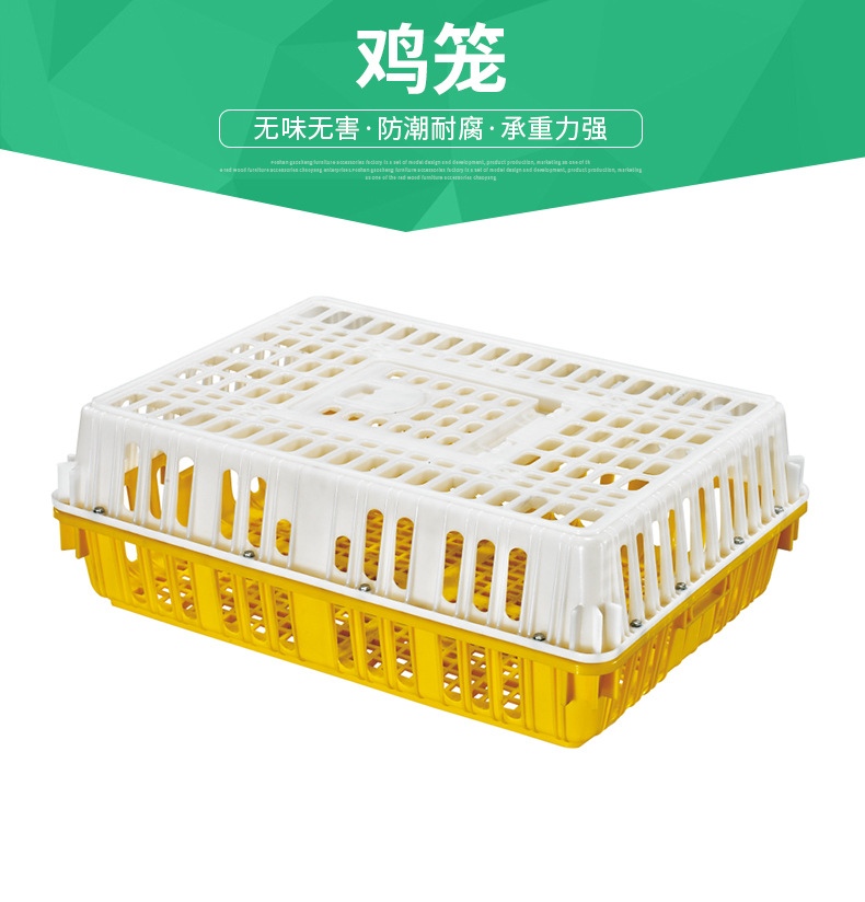 供應(yīng)塑料雞籠_雞籠_加厚雞籠廠家 加厚雞籠生產(chǎn)廠家批發(fā)銷售