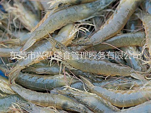 東莞專業(yè)蔬菜配送圖片/東莞專業(yè)蔬菜配送樣板圖 (3)