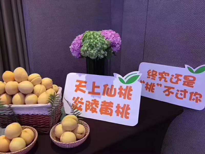 炎陵錦繡黃桃圖片/炎陵錦繡黃桃樣板圖 (4)