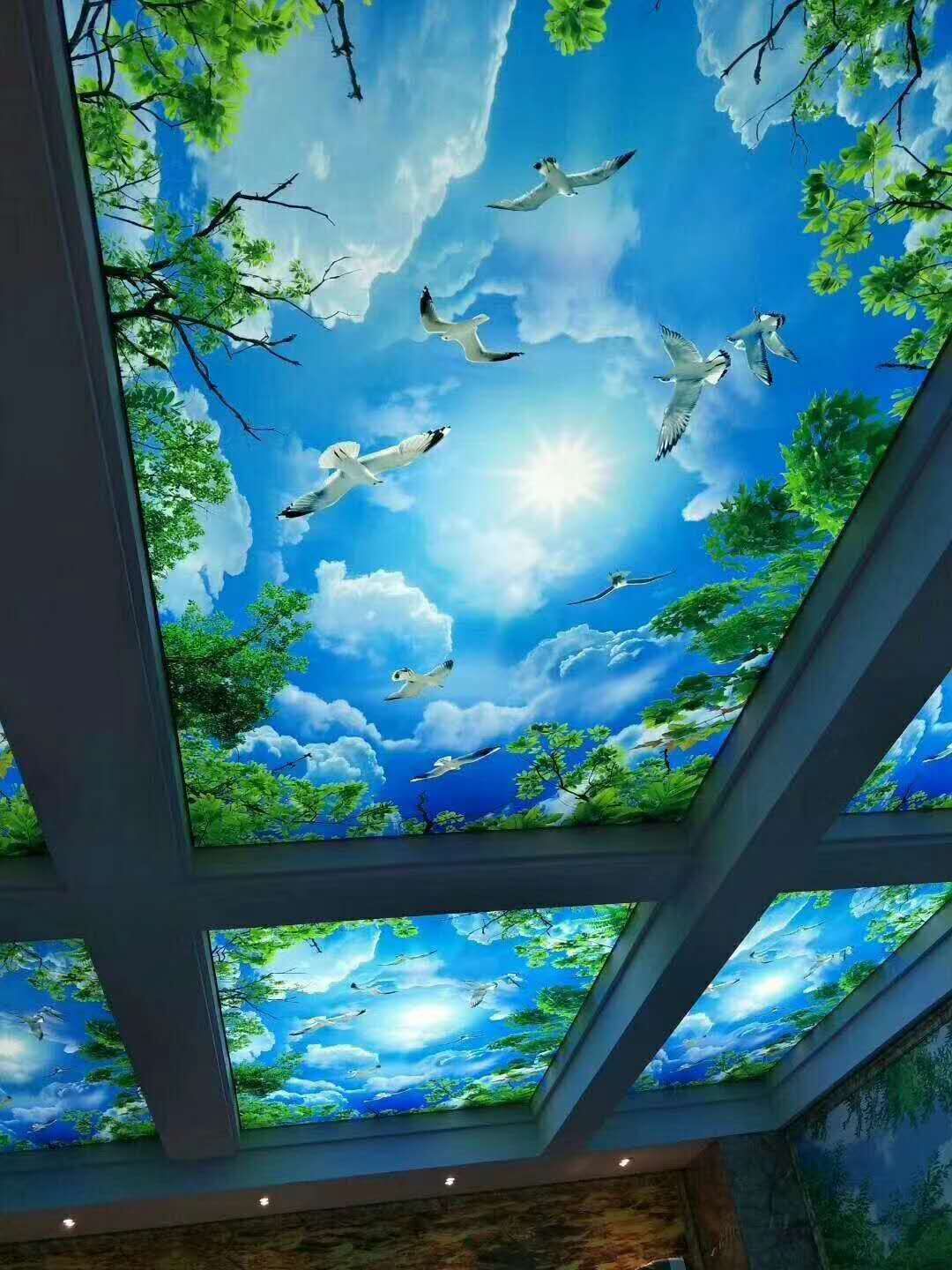 軟膜天花透光膜圖片/軟膜天花透光膜樣板圖 (4)
