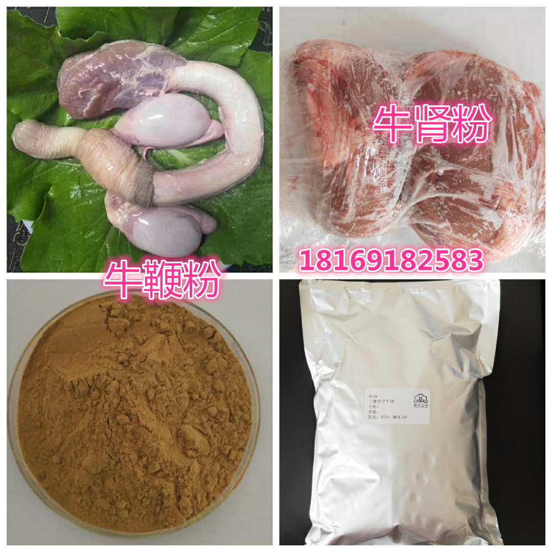 牛鞭提取物 牛鞭粉 牛宝粉 牛羊睾丸提取物 牛鞭粉冻干粉 羊鞭粉 牛鞭肽  羊鞭肽粉 羊脑髓粉 冻干羊脑粉图片