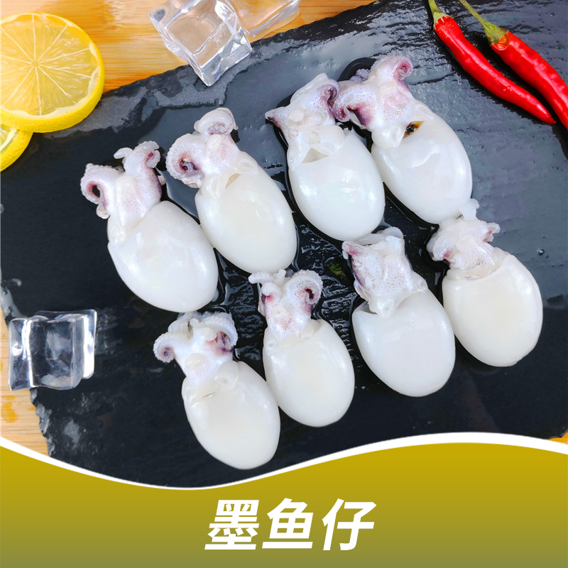 墨魚仔圖片/墨魚仔樣板圖 (1)