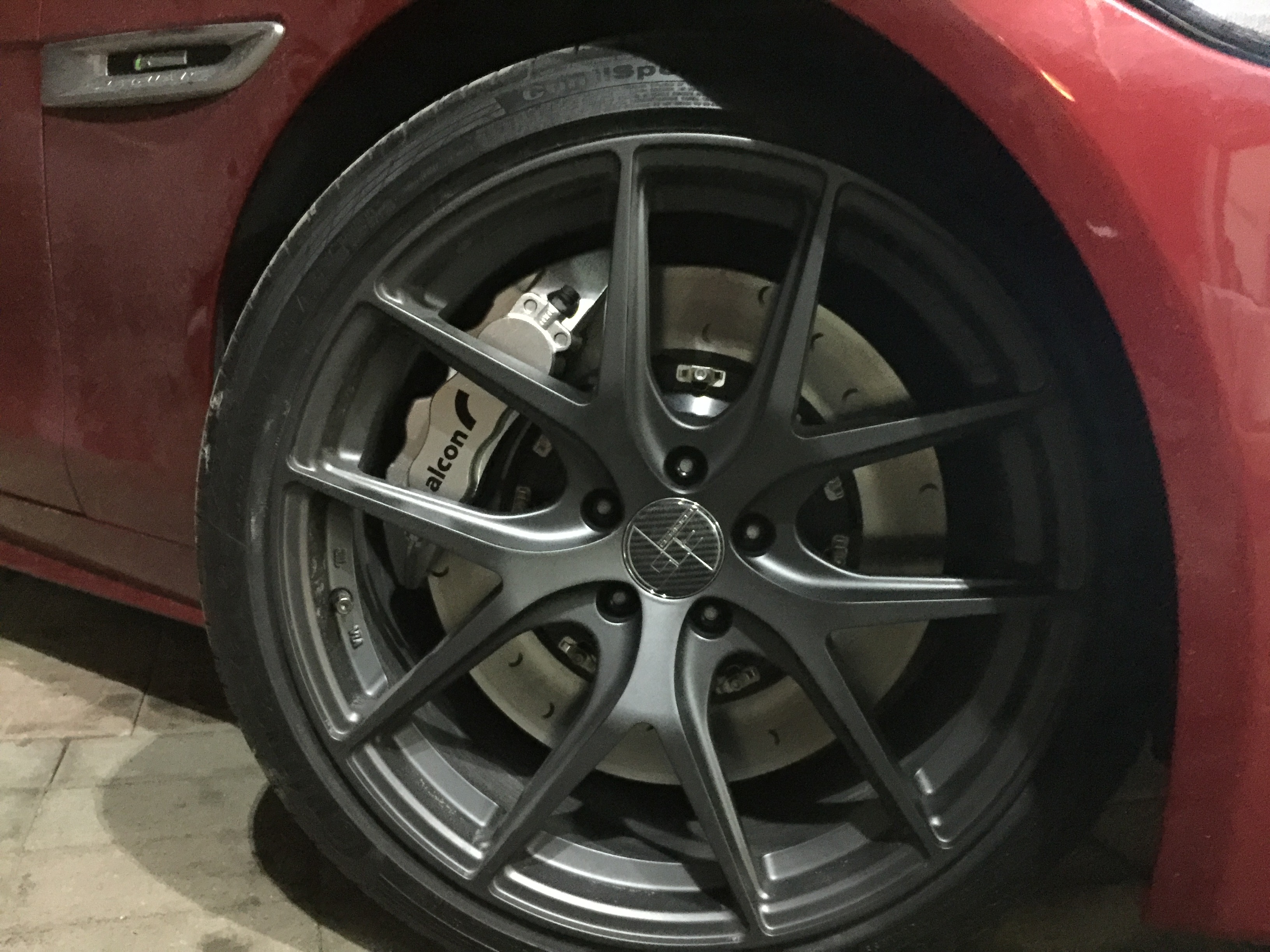 Brembo鮑魚圖片/Brembo鮑魚樣板圖 (4)