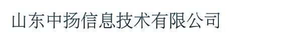 山东中扬信息技术有限公司