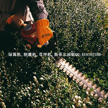 綠籬機(jī)圖片/綠籬機(jī)樣板圖 (2)