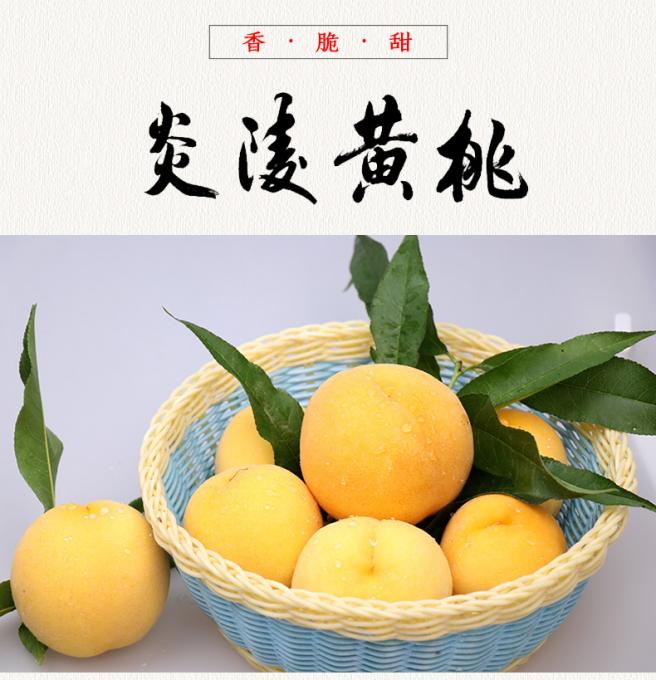 盛夏圖片/盛夏樣板圖 (1)