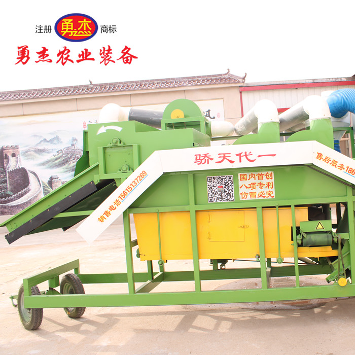 花生秧圖片/花生秧樣板圖 (2)