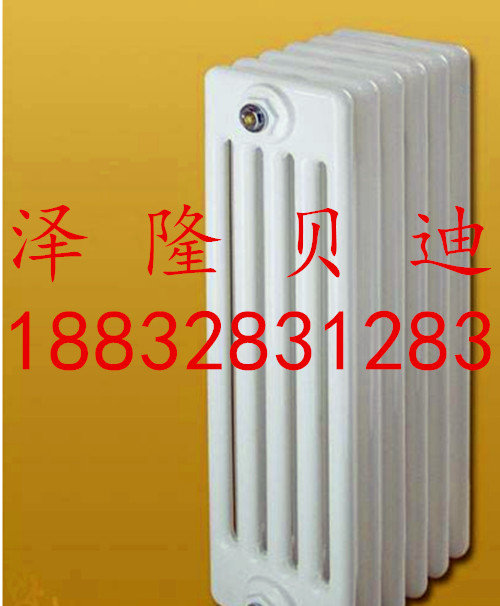 鋼五柱散熱器圖片/鋼五柱散熱器樣板圖 (1)