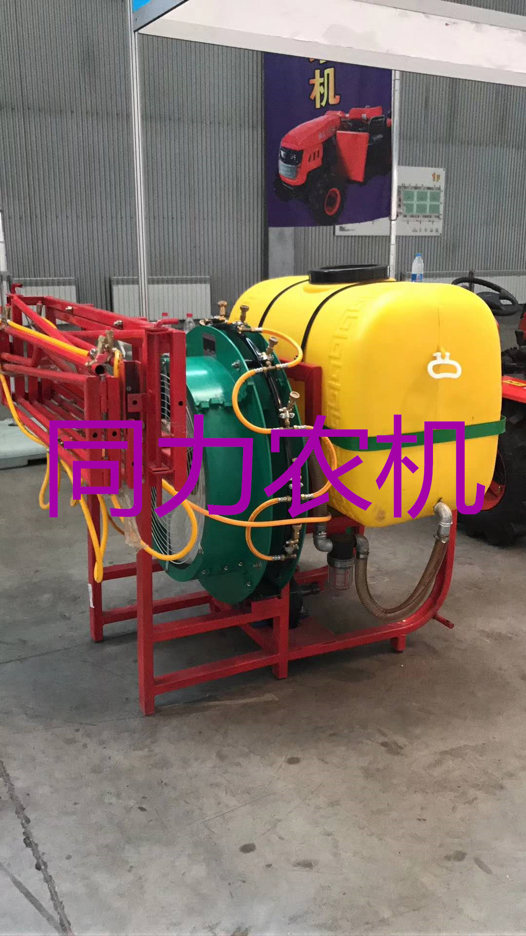 大棚蔬菜圖片/大棚蔬菜樣板圖 (2)