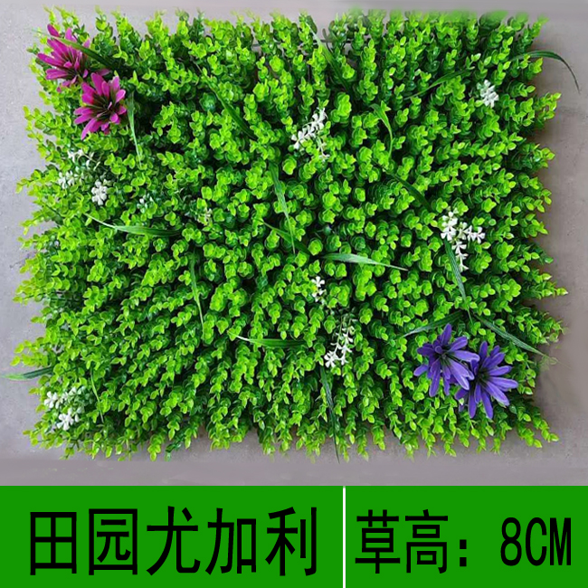 田園尤加利圖片/田園尤加利樣板圖 (2)