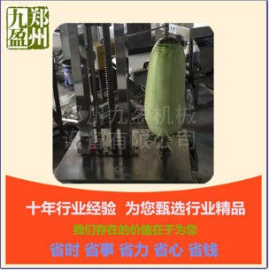 削皮機圖片/削皮機樣板圖 (3)