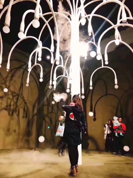 泡泡樹圖片/泡泡樹樣板圖 (3)