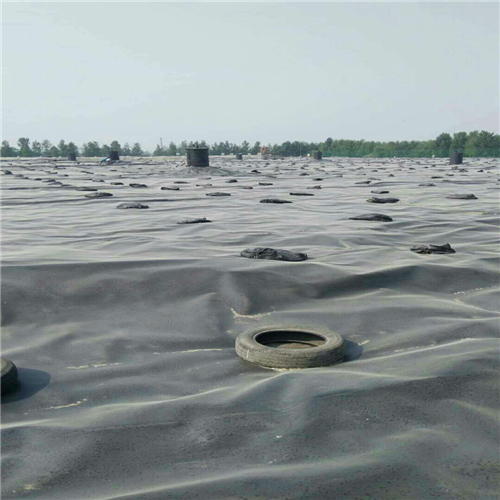 hdpe覆蓋膜圖片/hdpe覆蓋膜樣板圖 (2)