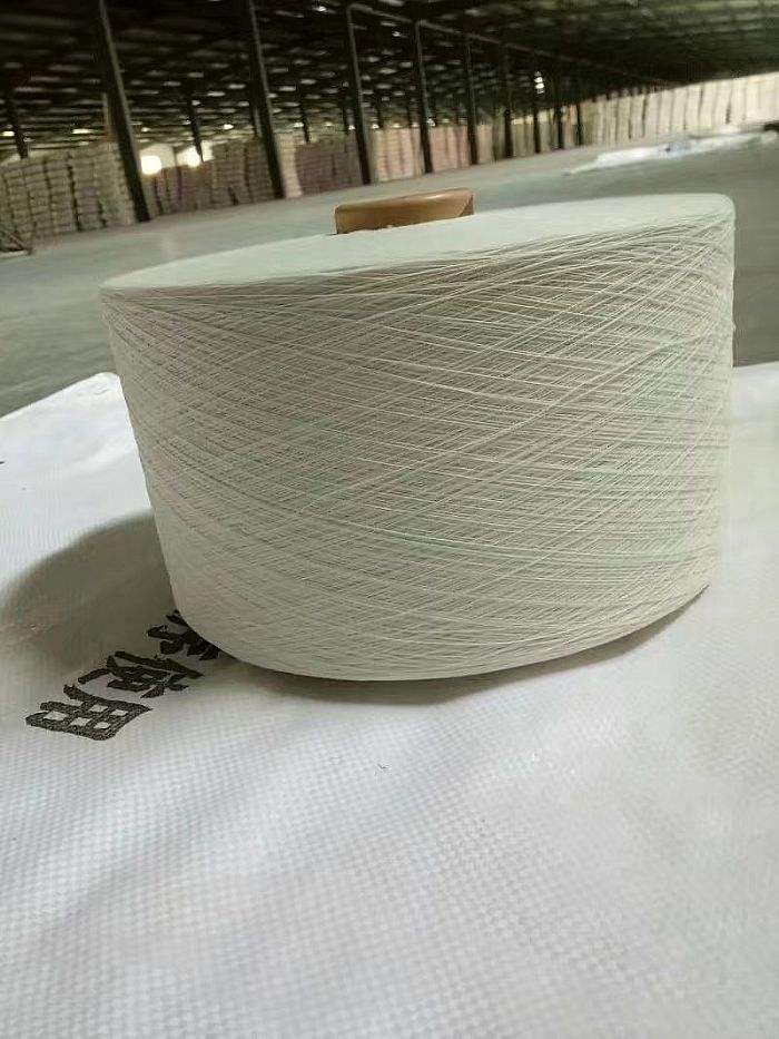 氣流紡21支滌綸紗圖片