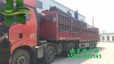 排水板蓄排水板圖片/排水板蓄排水板樣板圖 (1)