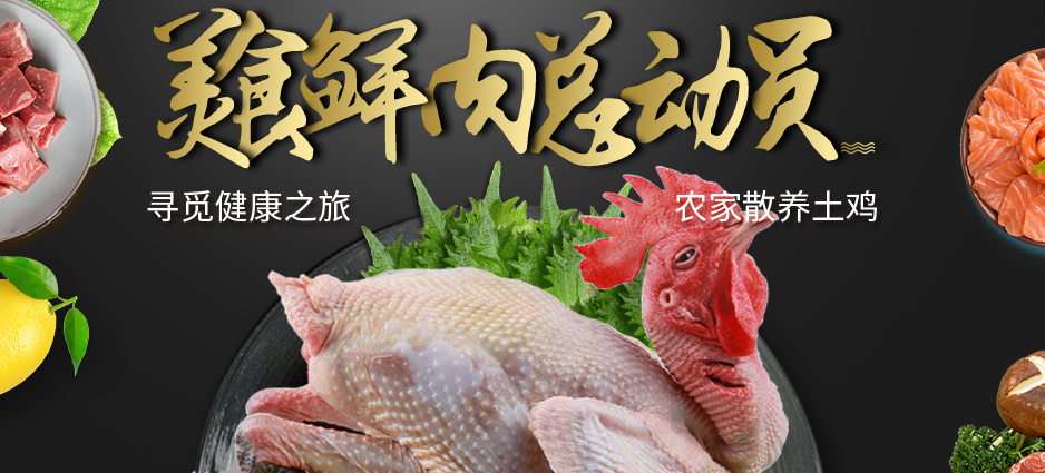 土雞圖片/土雞樣板圖 (4)