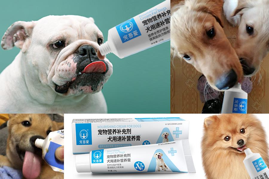 宠吾爱犬用速效营养膏    120g图片