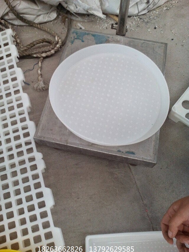 雞用塑料圖片/雞用塑料樣板圖 (1)