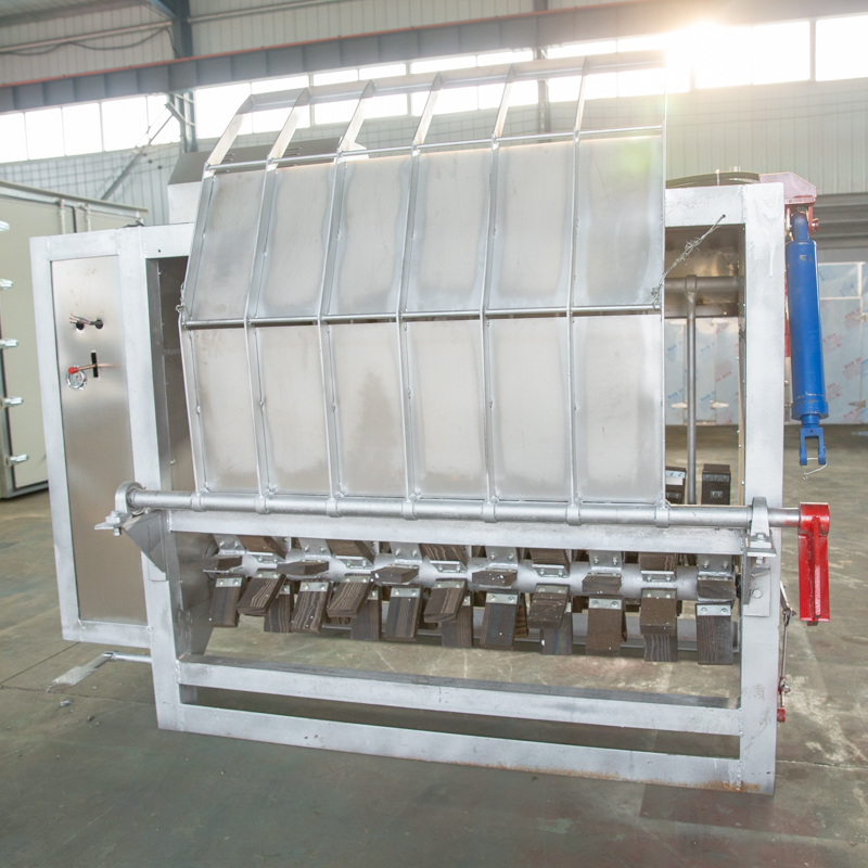 生豬圖片/生豬樣板圖 (2)