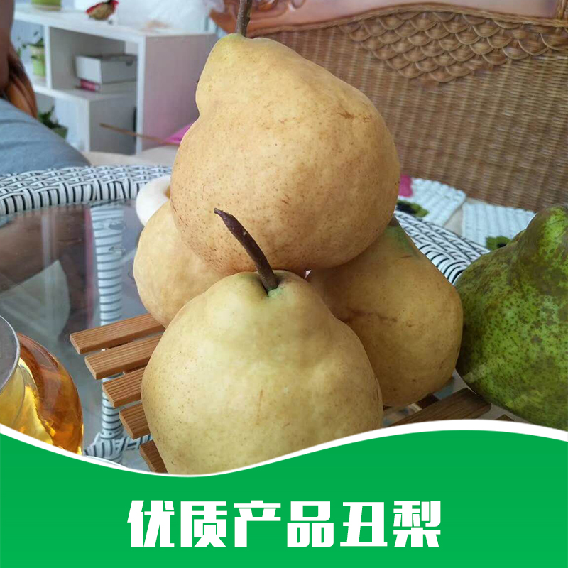 丑梨供應圖片/丑梨供應樣板圖 (2)