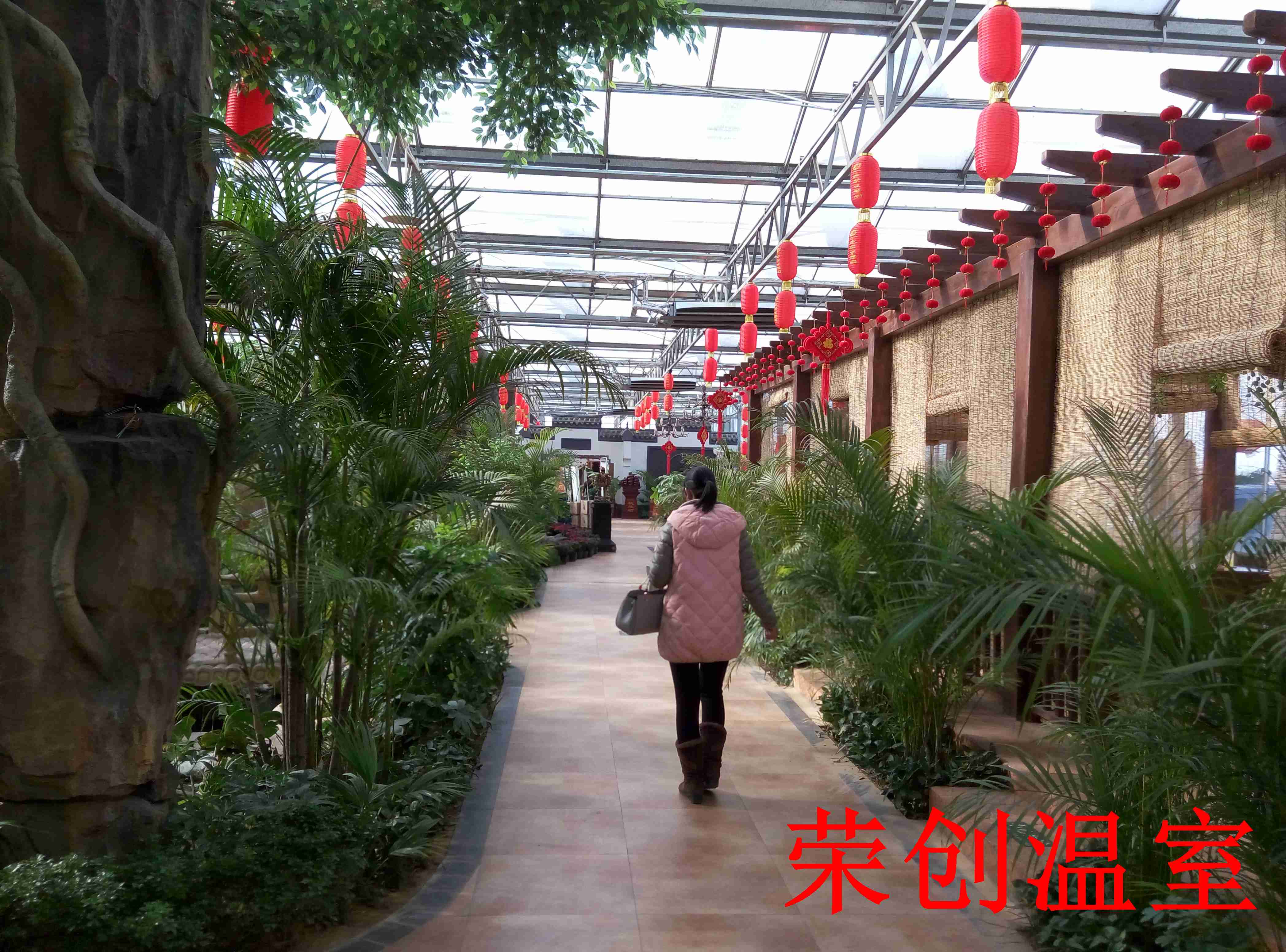 甘肅大棚造價 休閑生態(tài)園餐廳溫室的發(fā)展 生態(tài)園餐廳溫室，連棟溫室大棚